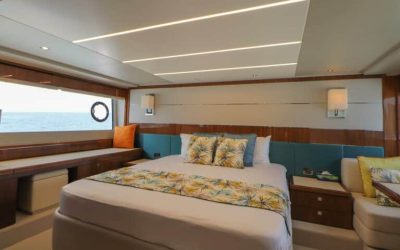 2019-sunseeker-predator-74-power-9680048-20250211040132578-1_XLARGE-768x528
