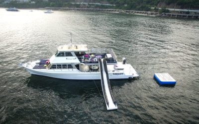 Tarzan-55-Person-Boat-Aerial-1-hky-768x576